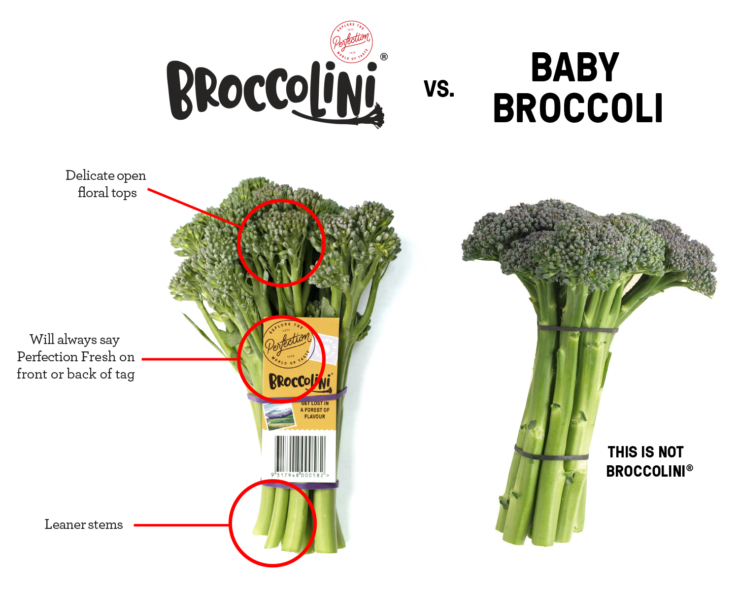 The One And Only Broccolini Perfection Fresh Australia the-one-and-only-broccolini-perfection-fresh-australia
